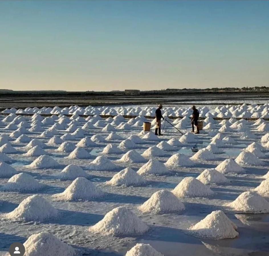 Fiore Di Marte Marsala Bagian luar foto